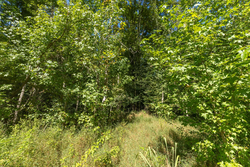 property photo for Big White Oak Tract 113, 8.22 acres for sale in Perry County, Tennessee