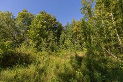 property photo for Big White Oak Tract 113, 8.22 acres for sale in Perry County, Tennessee