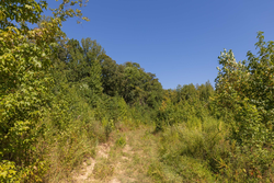 property photo for Big White Oak Tract 113, 8.22 acres for sale in Perry County, Tennessee