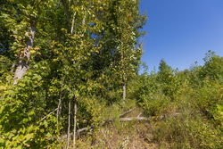property photo for Big White Oak Tract 113, 8.22 acres for sale in Perry County, Tennessee