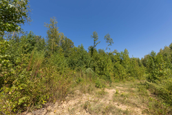 property photo for Big White Oak Tract 113, 8.22 acres for sale in Perry County, Tennessee