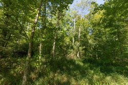 property photo for Big White Oak Tract 113, 8.22 acres for sale in Perry County, Tennessee