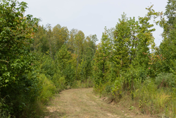 property photo for Big White Oak Tract 113, 8.22 acres for sale in Perry County, Tennessee