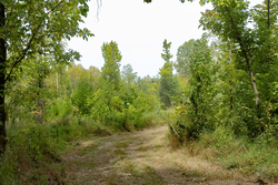 property photo for Big White Oak Tract 113, 8.22 acres for sale in Perry County, Tennessee