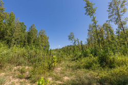 property photo for Big White Oak Tract 113, 8.22 acres for sale in Perry County, Tennessee