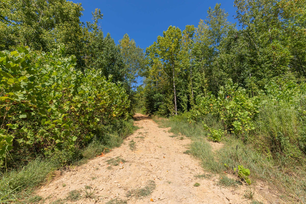 8.22 acre rural land tract for sale at Big White Oak Tract 113 in Perry County, Tennessee