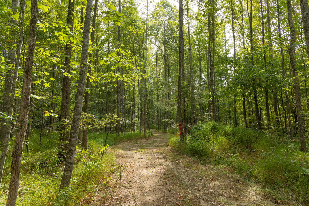 5.77 acre rural land tract for sale at Big White Oak Tract 114 in Perry County, Tennessee