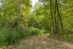 property photo for Big White Oak Tract 115, 5.05 acres for sale in Perry County, Tennessee