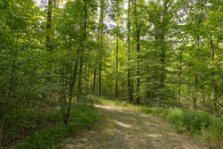 property photo for Big White Oak Tract 116, 7.61 acres for sale in Perry County, Tennessee
