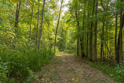 property photo for Big White Oak Tract 116, 7.61 acres for sale in Perry County, Tennessee