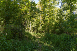 property photo for Big White Oak Tract 116, 7.61 acres for sale in Perry County, Tennessee