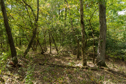 property photo for Big White Oak Tract 117, 10.15 acres for sale in Perry County, Tennessee