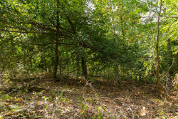 property photo for Big White Oak Tract 117, 10.15 acres for sale in Perry County, Tennessee