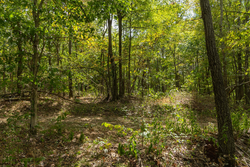property photo for Big White Oak Tract 117, 10.15 acres for sale in Perry County, Tennessee