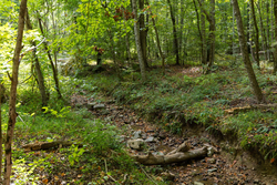 property photo for Big White Oak Tract 117, 10.15 acres for sale in Perry County, Tennessee