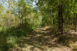 property photo for Big White Oak Tract 117, 10.15 acres for sale in Perry County, Tennessee