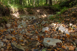 property photo for Big White Oak Tract 117, 10.15 acres for sale in Perry County, Tennessee
