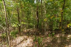 property photo for Big White Oak Tract 117, 10.15 acres for sale in Perry County, Tennessee