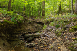 property photo for Big White Oak Tract 117, 10.15 acres for sale in Perry County, Tennessee