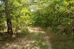 property photo for Big White Oak Tract 119, 9.73 acres for sale in Perry County, Tennessee