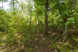 property photo for Big White Oak Tract 119, 9.73 acres for sale in Perry County, Tennessee