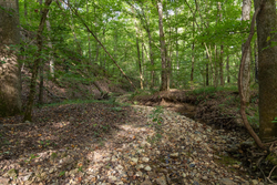 property photo for Big White Oak Tract 119, 9.73 acres for sale in Perry County, Tennessee
