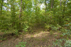 property photo for Big White Oak Tract 119, 9.73 acres for sale in Perry County, Tennessee