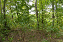 property photo for Big White Oak Tract 119, 9.73 acres for sale in Perry County, Tennessee