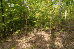 property photo for Big White Oak Tract 119, 9.73 acres for sale in Perry County, Tennessee