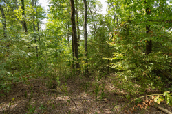 property photo for Big White Oak Tract 119, 9.73 acres for sale in Perry County, Tennessee