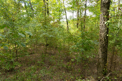 property photo for Big White Oak Tract 119, 9.73 acres for sale in Perry County, Tennessee