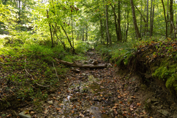property photo for Big White Oak Tract 119, 9.73 acres for sale in Perry County, Tennessee