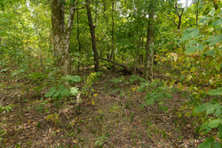 property photo for Big White Oak Tract 119, 9.73 acres for sale in Perry County, Tennessee