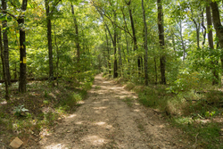 property photo for Big White Oak Tract 119, 9.73 acres for sale in Perry County, Tennessee