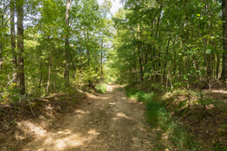 property photo for Big White Oak Tract 120, 9.06 acres for sale in Perry County, Tennessee