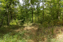 property photo for Big White Oak Tract 120, 9.06 acres for sale in Perry County, Tennessee