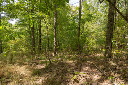 property photo for Big White Oak Tract 120, 9.06 acres for sale in Perry County, Tennessee