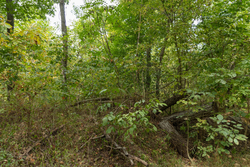 property photo for Big White Oak Tract 120, 9.06 acres for sale in Perry County, Tennessee
