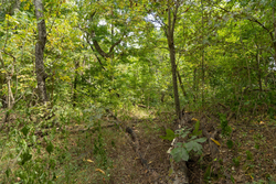 property photo for Big White Oak Tract 120, 9.06 acres for sale in Perry County, Tennessee