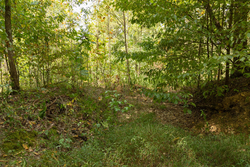 property photo for Big White Oak Tract 120, 9.06 acres for sale in Perry County, Tennessee