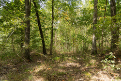 property photo for Big White Oak Tract 120, 9.06 acres for sale in Perry County, Tennessee