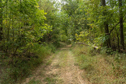 property photo for Big White Oak Tract 120, 9.06 acres for sale in Perry County, Tennessee