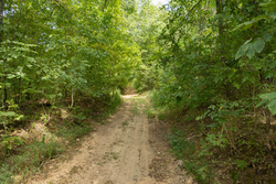 property photo for Big White Oak Tract 120, 9.06 acres for sale in Perry County, Tennessee