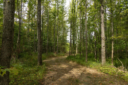 property photo for Big White Oak Tract 124, 8.05 acres for sale in Perry County, Tennessee