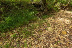 property photo for Big White Oak Tract 124, 8.05 acres for sale in Perry County, Tennessee