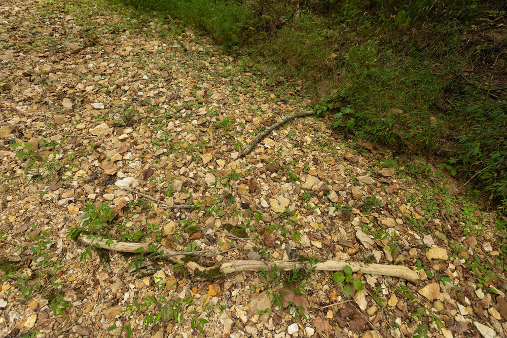 9.1 acre rural land tract for sale at Big White Oak Tract 126 in Perry County, Tennessee