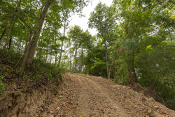 property photo for Big White Oak Tract 130, 11.62 acres for sale in Perry County, Tennessee