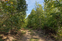 property photo for Big White Oak Tract 130, 11.62 acres for sale in Perry County, Tennessee