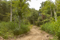 property photo for Big White Oak Tract 130, 11.62 acres for sale in Perry County, Tennessee