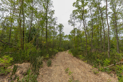 property photo for Big White Oak Tract 131, 7.37 acres for sale in Perry County, Tennessee
